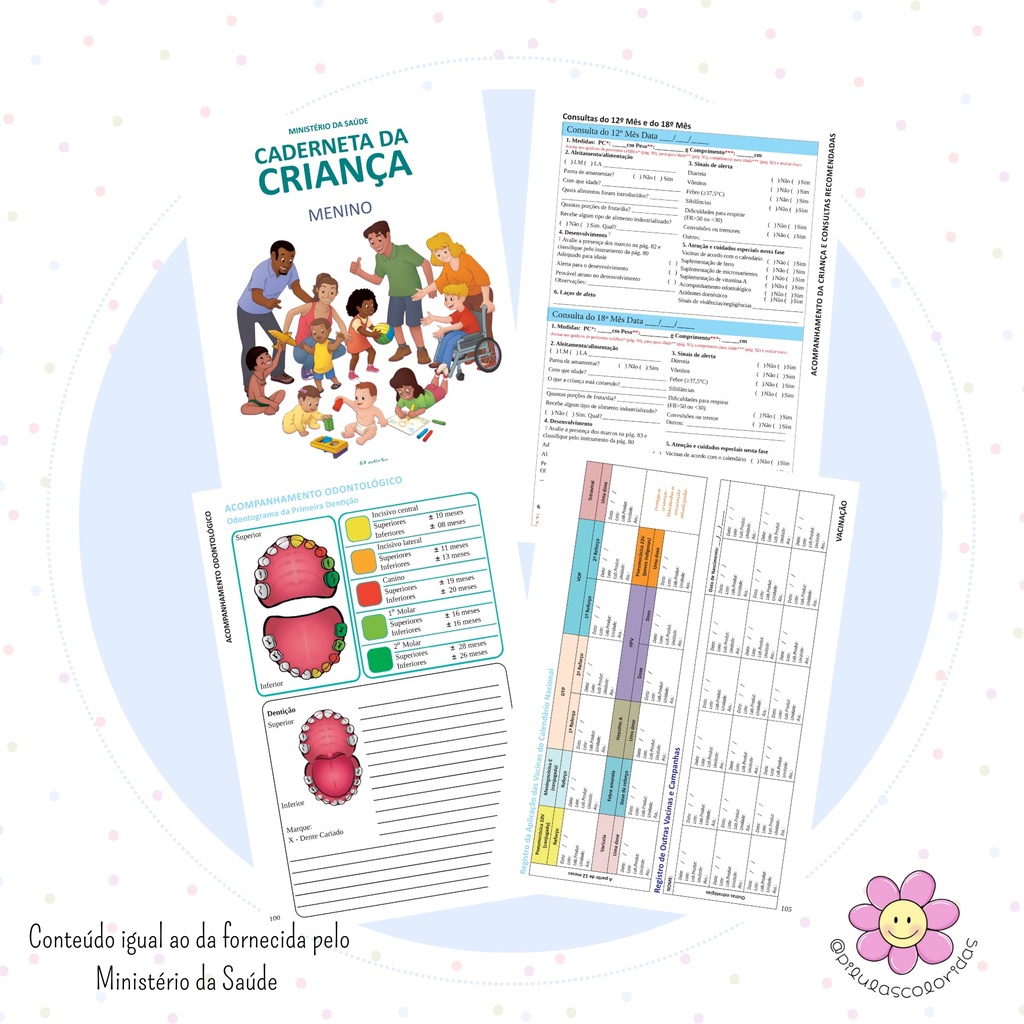 Caderneta de Vacinação do Bebê – Meninos - “Para anotar com carinho cada cuidado que faz parte desta linda jornada"