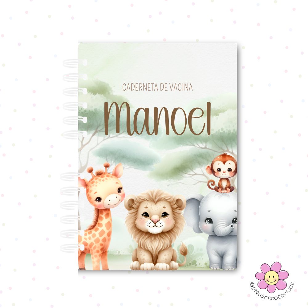 Caderneta de Vacinação do Bebê – Meninos - “Para anotar com carinho cada cuidado que faz parte desta linda jornada"